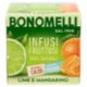 Bonomelli Infusi Fruttosi 100% Naturali Lime e Mandarino 12 Filtri 24 g