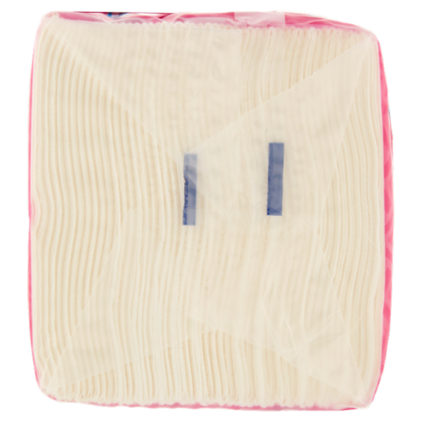 Regina Asciugamani Monouso in carta 100 pezzi