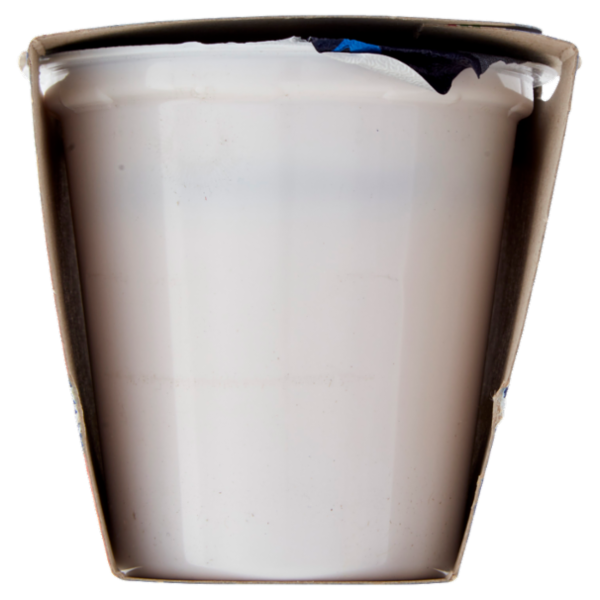 Latteria Brunico Yogurt Cremoso Frutta Frullata Fragola 2 x 125 g