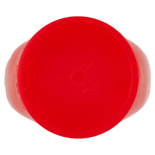 Biffi Ketchup 280 g