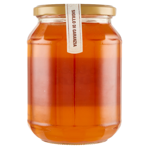 dolce Regina Miele Millefiori 1 Kg