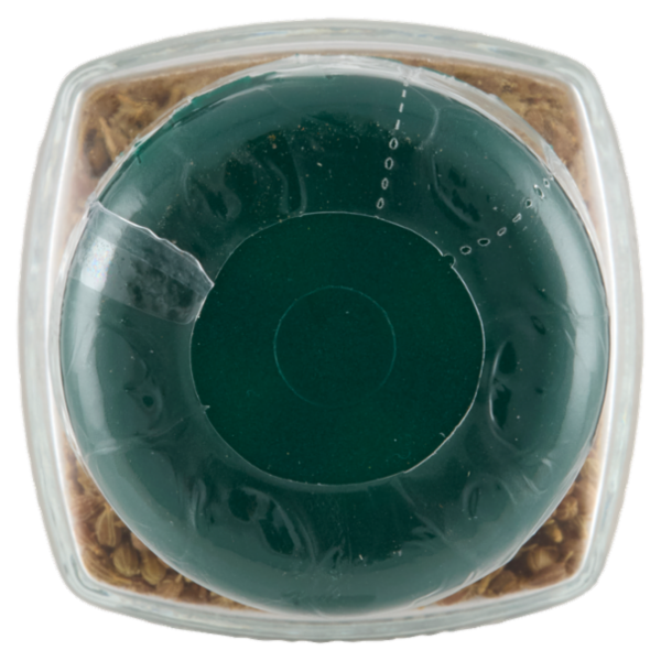 Consilia Anice in Semi 40 g