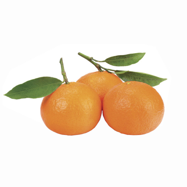 Clementine Tango Spagna