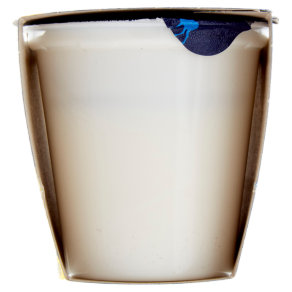 Latteria Brunico Yogurt Cremoso Frutta Frullata Limone 2 x 125 g