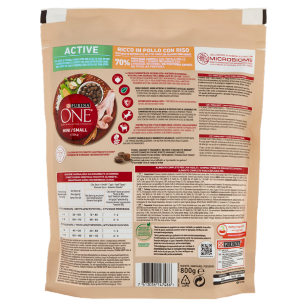 PURINA ONE Mini/Small Active Pollo con Riso 800 g
