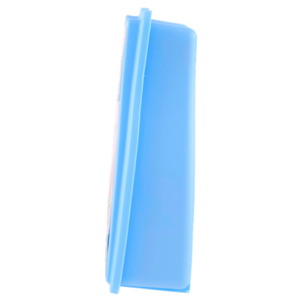 Felce Azzurra fiori di ciliegio e peonia Gel assorbiodori 140 g