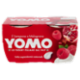 Yomo il Lampone e Melograno 2 x 125 g
