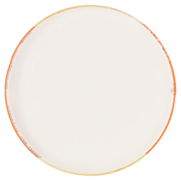 Sammontana Barattolino Delizioso Noci Pecan e Sciroppo d'Acero 500 g