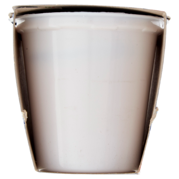 Latteria Brunico Yogurt Cremoso Frutta Frullata Fragola 2 x 125 g