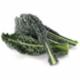 Cavolo Nero