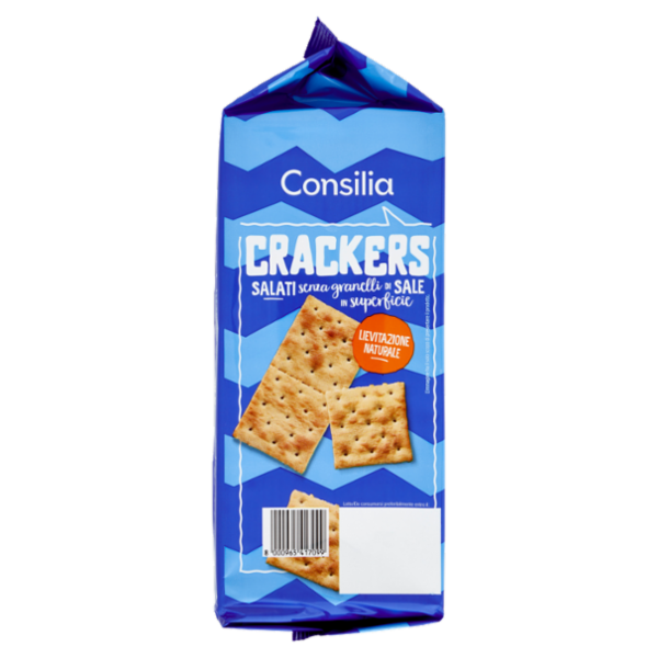Consilia Cracker Non Salati in Superficie 16x31,25 g
