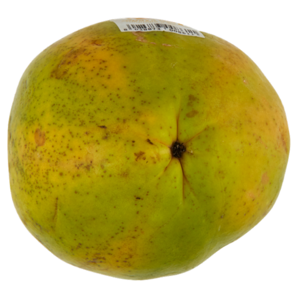 èSquisita! Papaya Golden