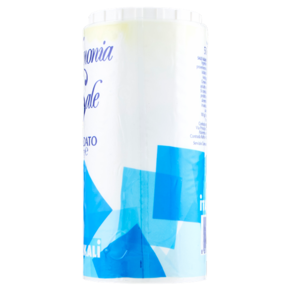 Italkali Armonia di Sale Iodato 500 g