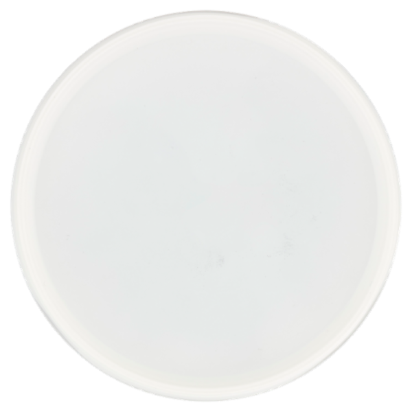 Sù Capperi al Sale 1 kg