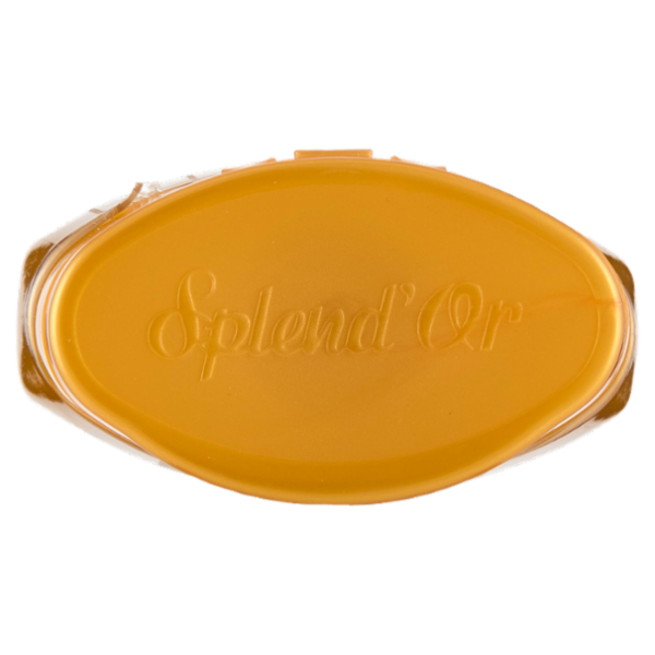 Splend'Or Shampoo Olio Splendente My Ritual 300 mL