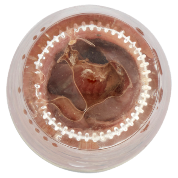 Zarotti Filetti di Alici Classici in Olio di Semi di Girasole 80 g