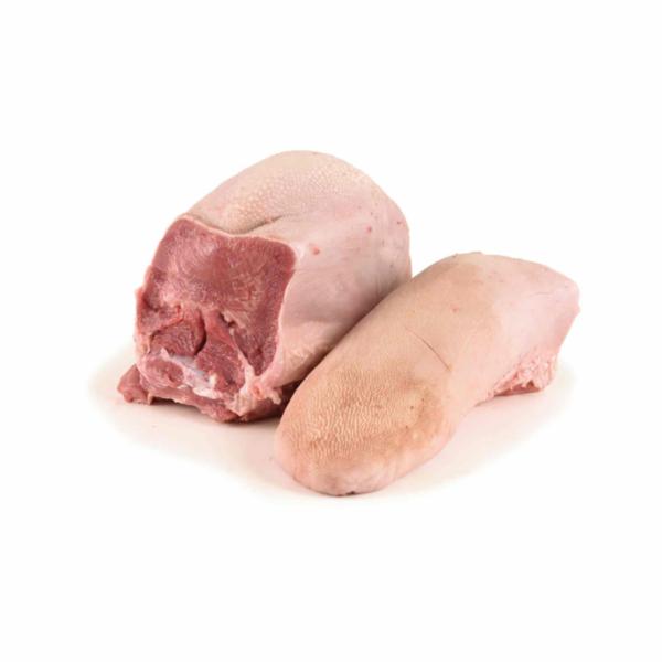 LINGUA BOVINO ADULTO