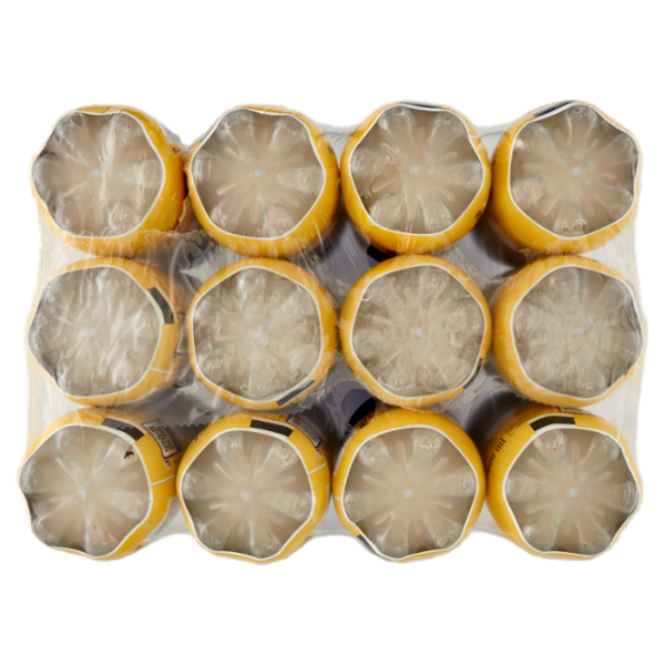 Adez Avena PET 12 x 800 ml