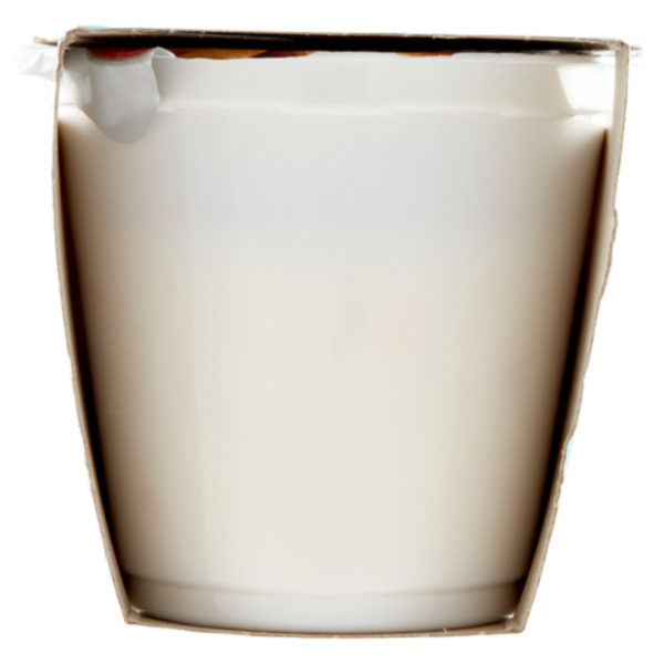 Consilia Yogurt Magro 0,1% Pesca e Albicocca 2x125 g