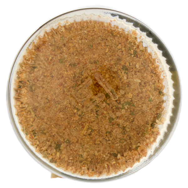 La Drogheria 1880 per Patate con Sale Iodato Rosmarino & Pepe Rosa 85 g