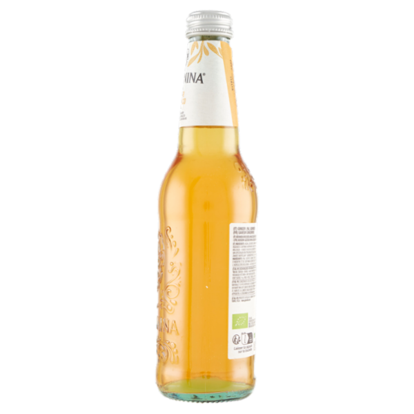 Galvanina Ginger Biologico 355 ml