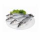 Branzino 800/1000 Antibiotic Free Cal. 1-2