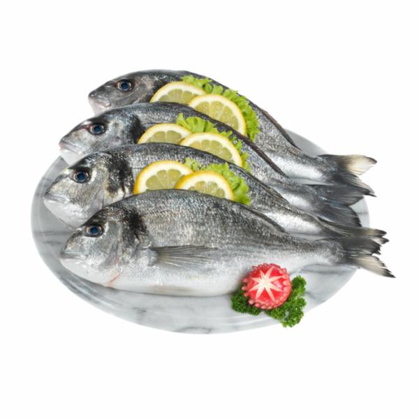 Orata 400/600 Antibiotic Free Croazia