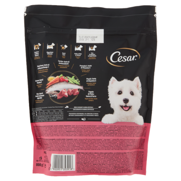 Cesar Cibo Secco Cani Pollo Salmone Verdure 800 g