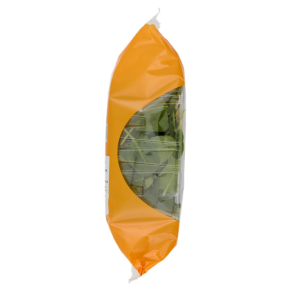 alce nero Spinacino 100 g