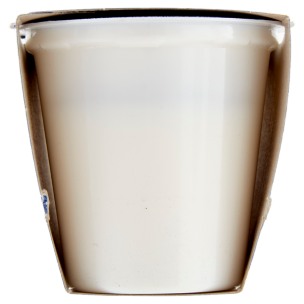 Latteria Brunico Yogurt Cremoso Frutta Frullata Limone 2 x 125 g