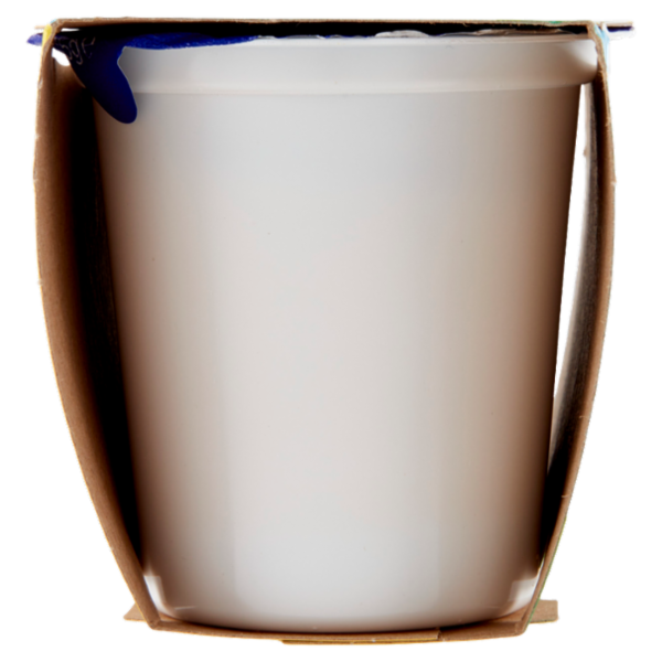 Centrale del latte Vicenza Yogurt Intero Frutta Frullata Albicocca 2 x 125 g