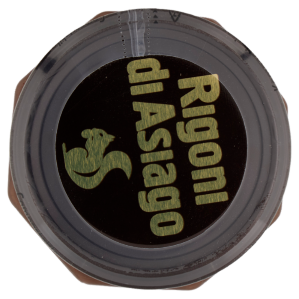 Rigoni di Asiago Nocciolata la Dark Senza Latte bio 650 g
