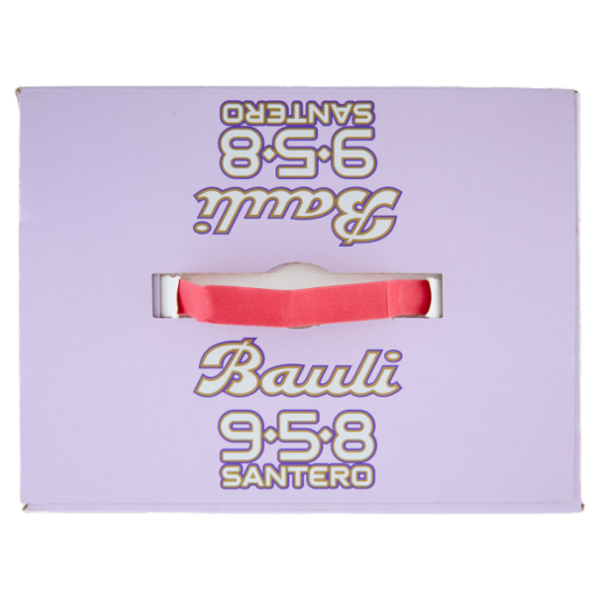 Bauli 958 Santero Pandoro Bauli 700 g + 958 Santero Millesimato 75 cl