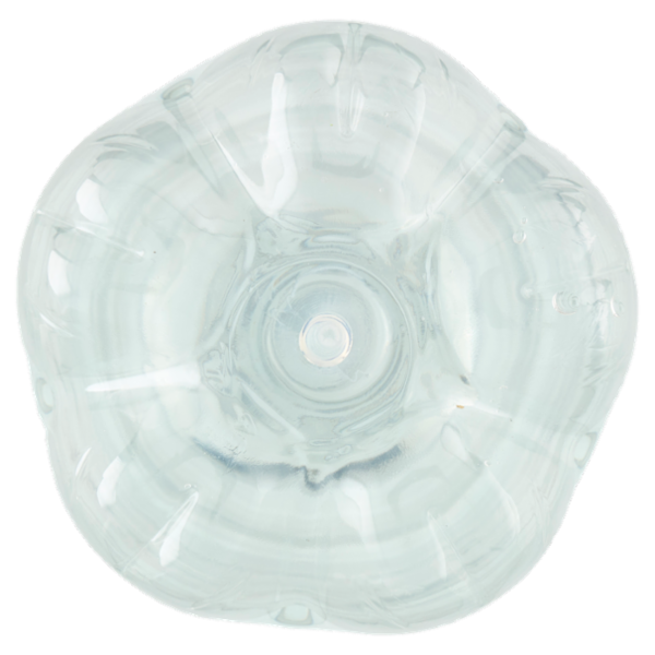 Fonte Elisa Frizzante 1,5 L