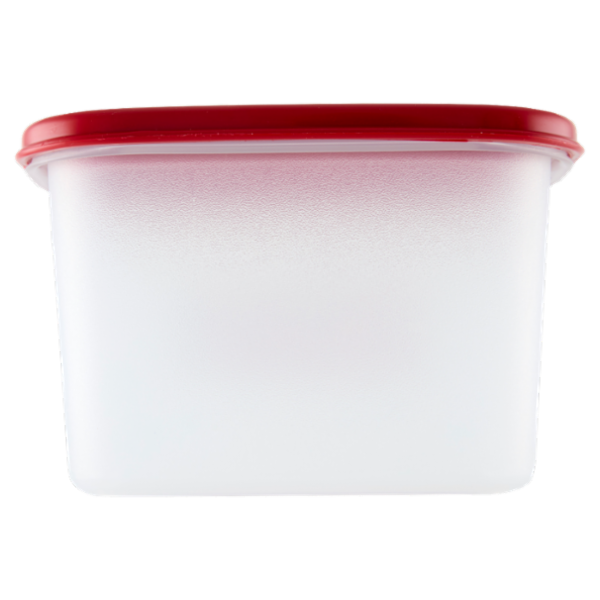 Selex Contenitore per Alimenti Freezer/Frigo Rettangolare 0,70 L