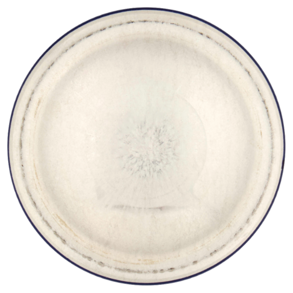 Nivea Men Dry Fresh 150 ml