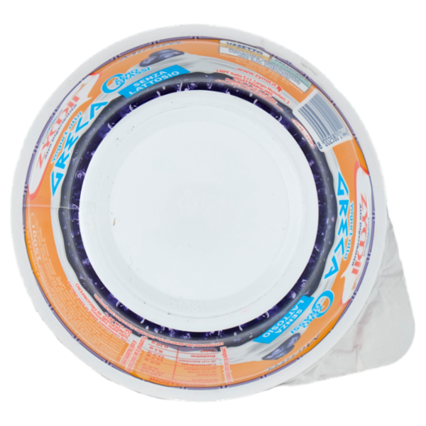 ZYMIL Alta Digeribilità Senza Lattosio Yogurt alla Greca Zero Grassi Mirtilli 150g