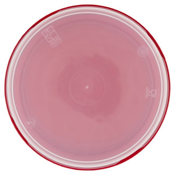 Selex Contenitore per Alimenti Freezer/Frigo Tondo 1,80 L