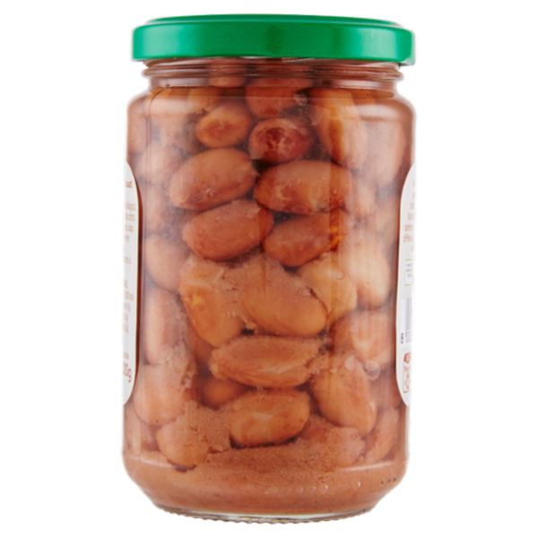 Consilia Scelte dalla Natura Fagioli Borlotti Bio 300 g