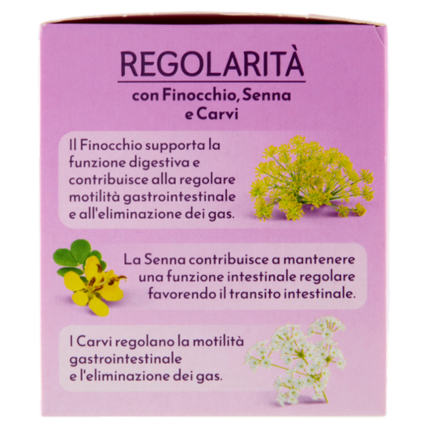 Bonomelli Regolarità Tisana per Infusione 16 Filtri 32 g