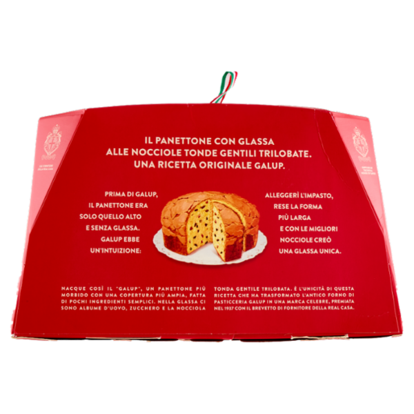 Galup il Panettone Goloso con Glassa alle Nocciole 1000 g