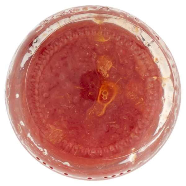 Selex Saper di Sapori Marmellata di Arance Rosse di Sicilia I.G.P. 240 g