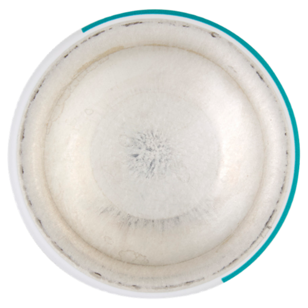 Hansaplast Foot Protection 2-in-1 Deo 150 ml