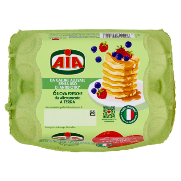 Aia 6 Uova Fresche da allevamento a Terra 330 g