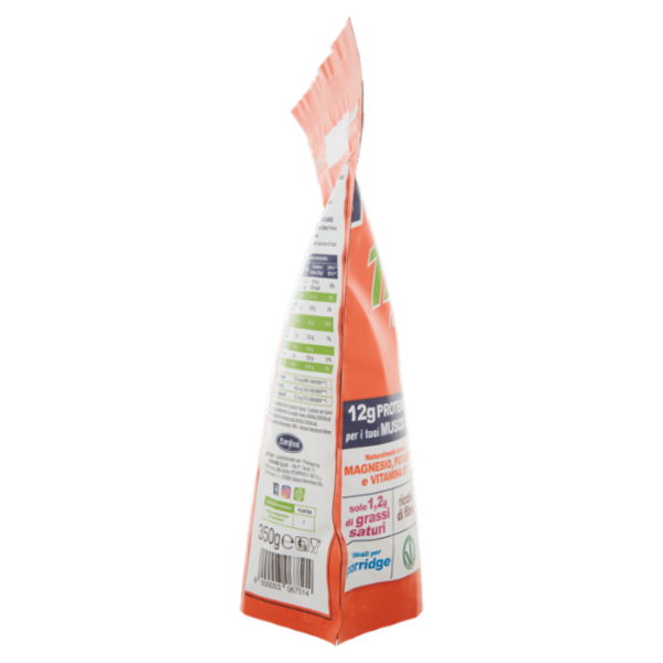 Náttúra 12 Protein Sport Mini Fiocchi istantanei 100% Avena integrale 350 g