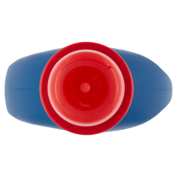 Bioform Plus Disinfettante per il bucato 1,3 L