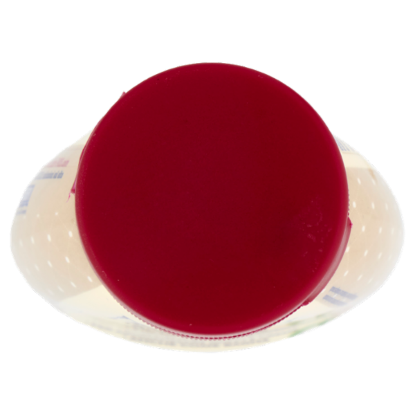 La Pasticceria di Casa Fabbri Preparato alla Vaniglia 220 g