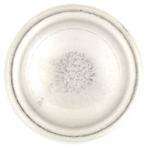 Neutro Roberts Asciutto Sandalo e Patchouli 150 ml