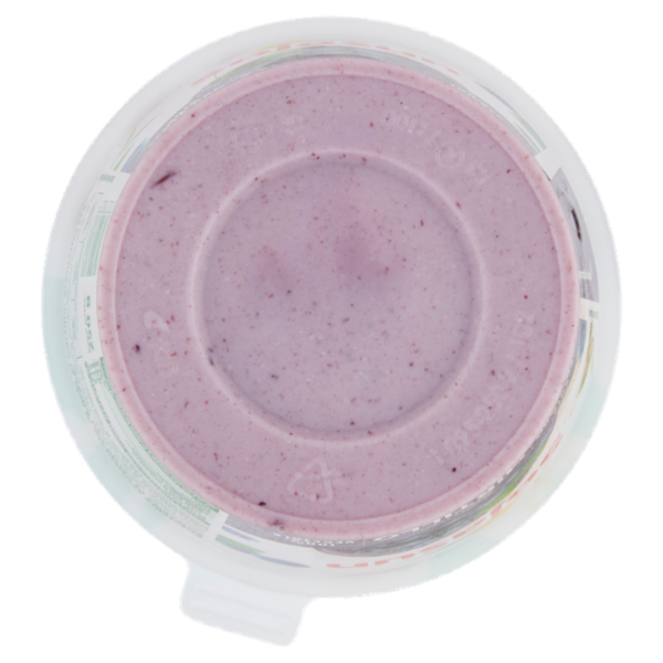 Sojasun Bifidus Mirtillo 250 g