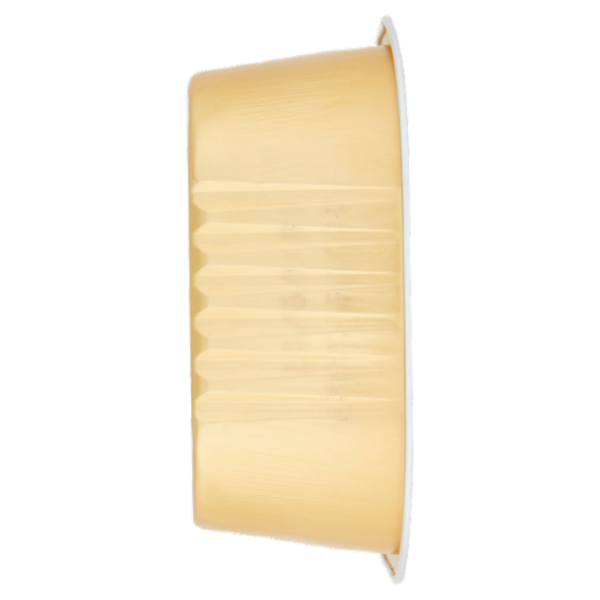 Consilia Derik Paté per Cane con Manzo 300 g